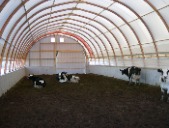36' Cattle shelter